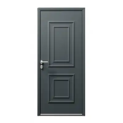 Porte d'entrée ALU gris 7016 1 vantail sur mesure avec moulures